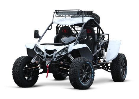 Quadix buggy - Der absolute Testsieger unseres Teams